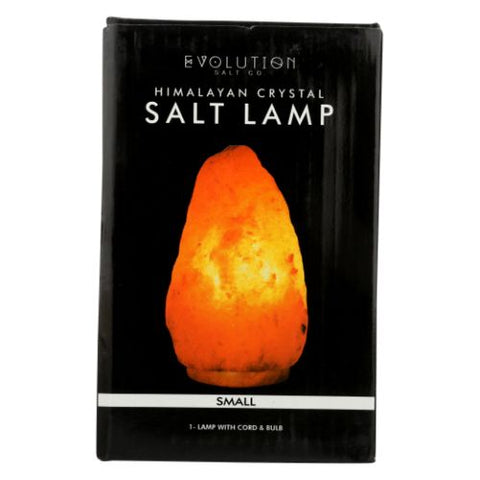 Evolution Salt, Natural Salt Lamp, 1 Count Evolution Salt