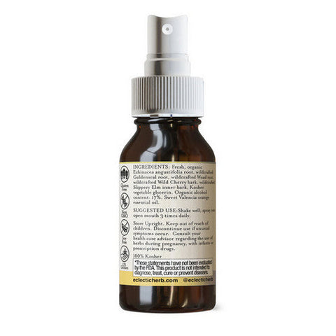 Eclectic Herb, Echinacea Goldenseal Throat Spray Kid, 1 Oz Eclectic Herb