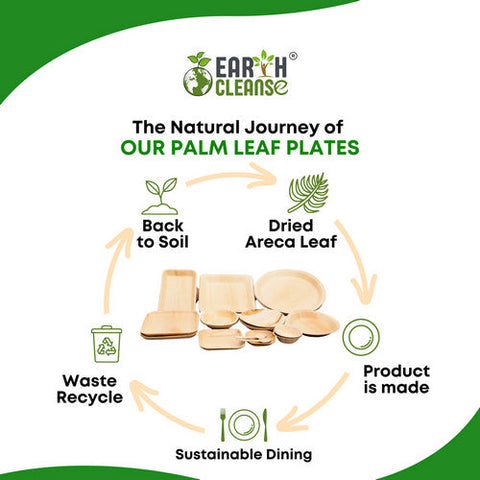 Earth Cleanse, Areca Palm Leaf Square Plates 8-Inch, Pack of 25 Earth Cleanse
