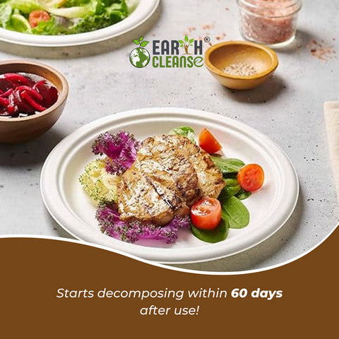 Earth Cleanse, 10" Round Bagasse Plates Premium, 750 Pack Earth Cleanse