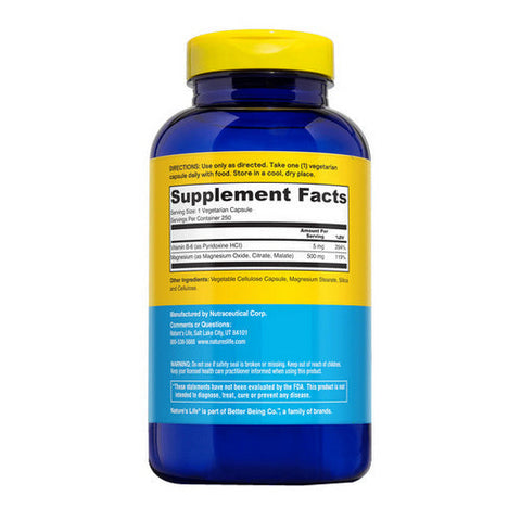 Nature's Life, Renewing Magnesium, 500 Mg, 250 Caps Nature's Life